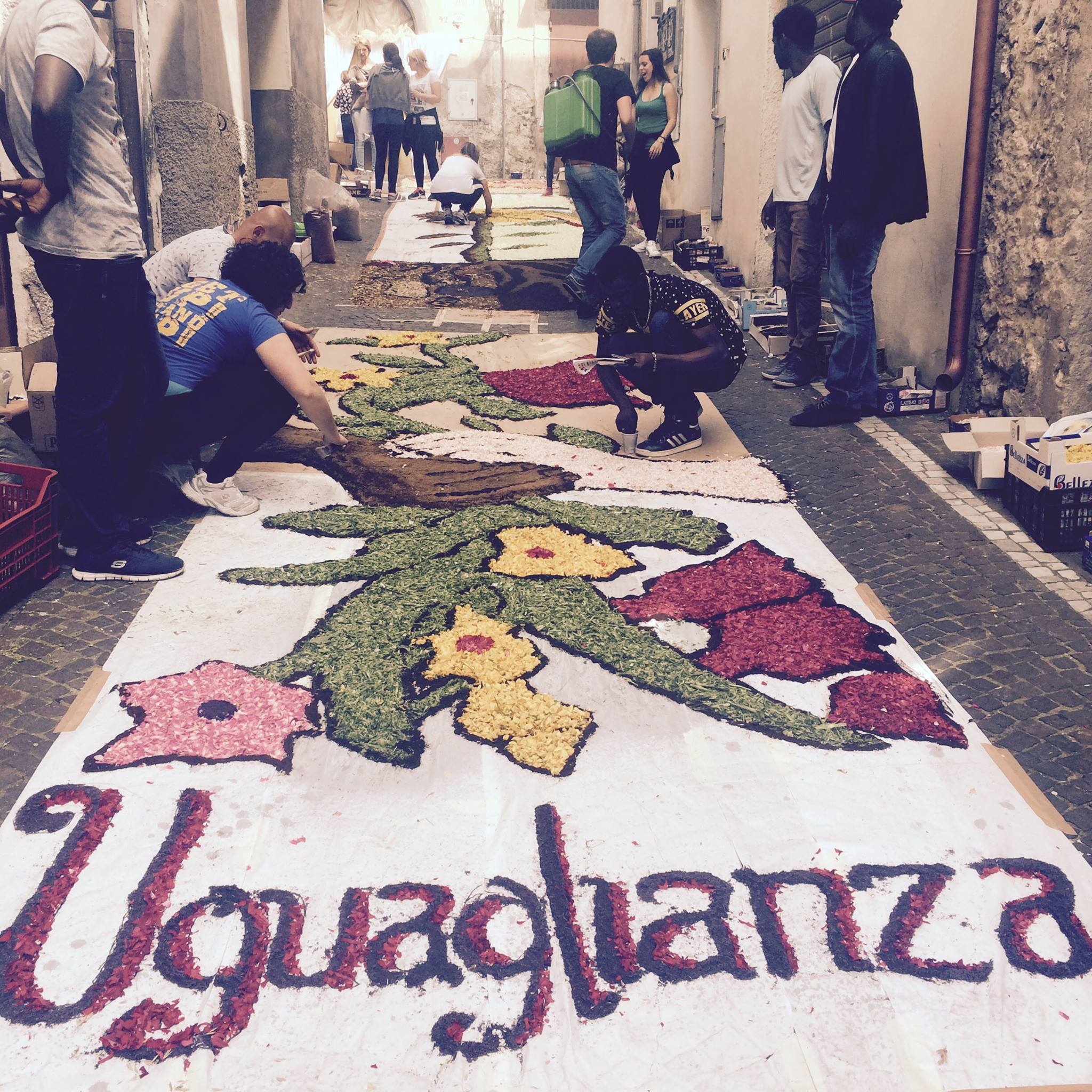 Quadro SPRAR Infiorata