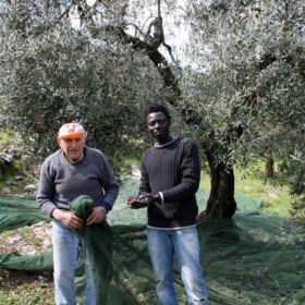 Beneficiario SPRAR Itri e anziano agricoltore itrano a lavoro fianco a fianco