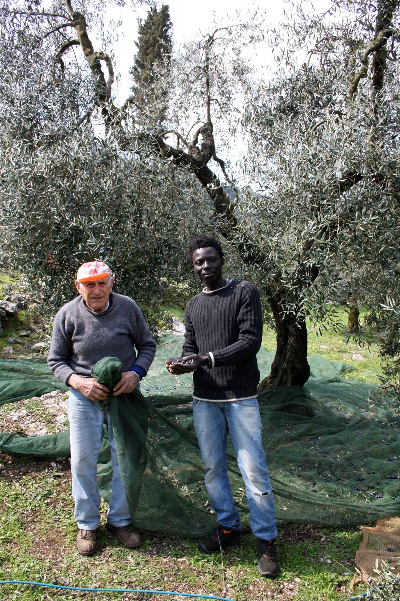 Beneficiario SPRAR Itri e anziano agricoltore itrano a lavoro fianco a fianco
